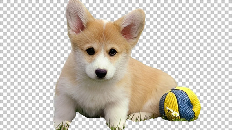 AI智能抠图后生成的高清图片